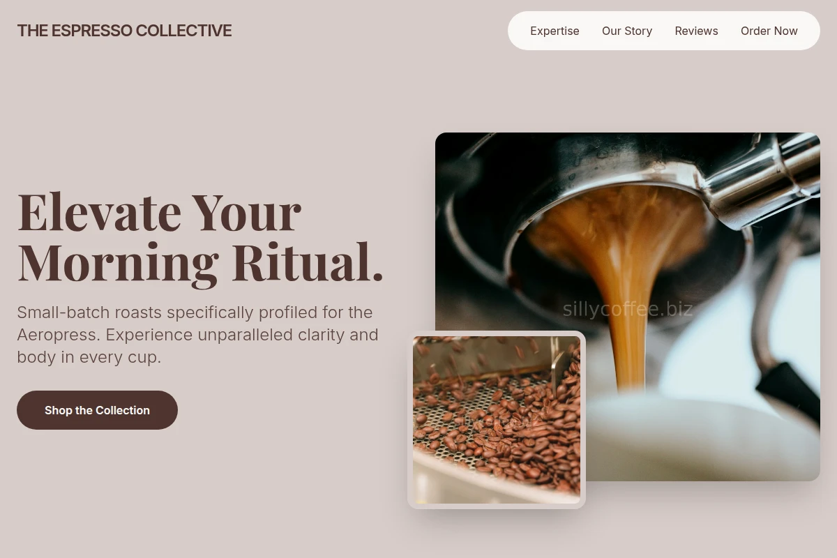 Aeropress Coffee Roasting